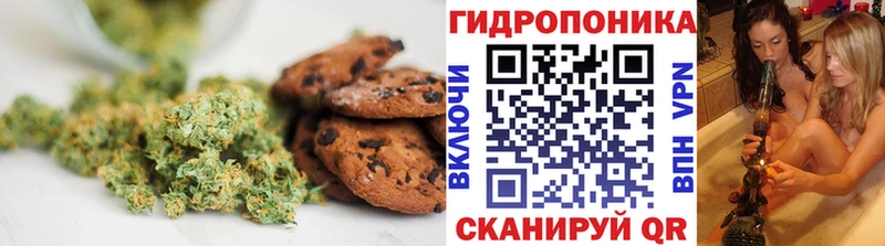 Canna-Cookies марихуана  Отрадная 