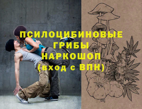 прущие грибы Сосновый Бор