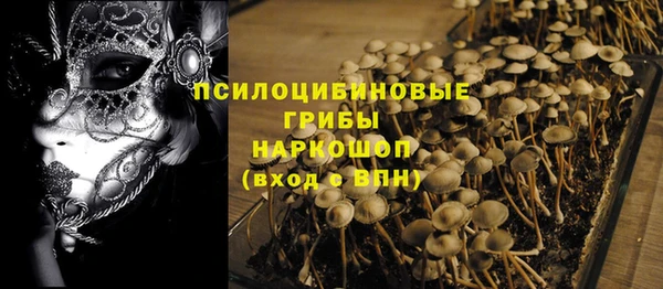 мяу мяу мука Баксан