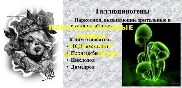мяу мяу мука Баксан