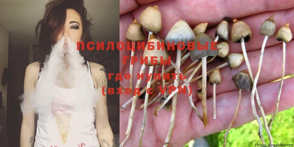 мяу мяу мука Баксан