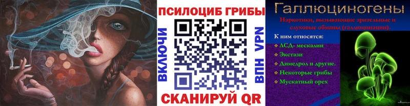 где купить наркоту  Отрадная  Галлюциногенные грибы Psilocybe 